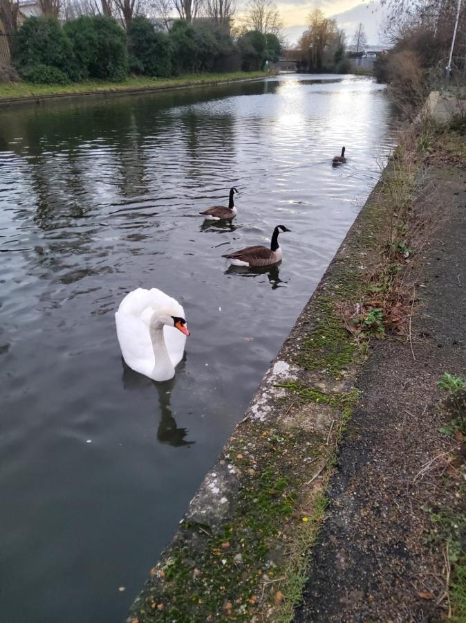 Canal View Suites: Spacious Comfort with Free Parking Southall Exterior photo